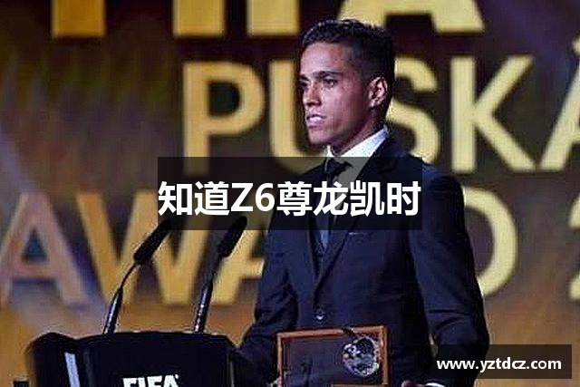 知道Z6尊龙凯时